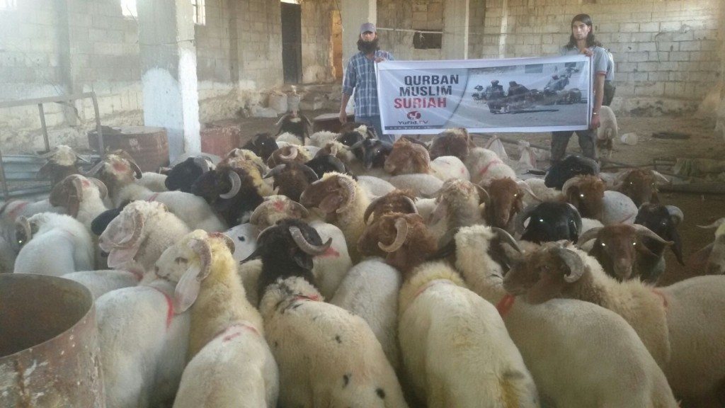 Qurban Suriah 1