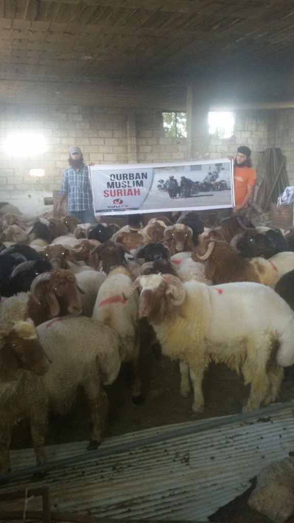 Qurban Suriah 2
