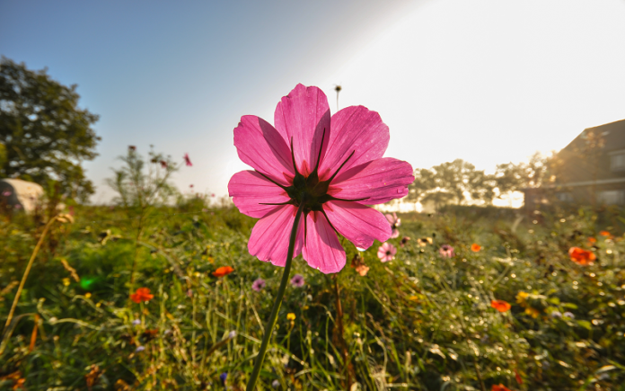 Junub Saat Puasa Sah Atau Tidak Ini Penjelasannya Umroh Com