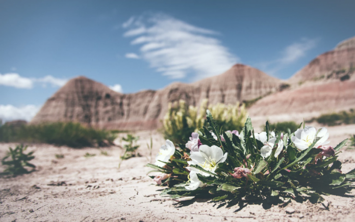 Nabi ini Memiliki 100 Istri dan Hikmahnya  Konsultasi 